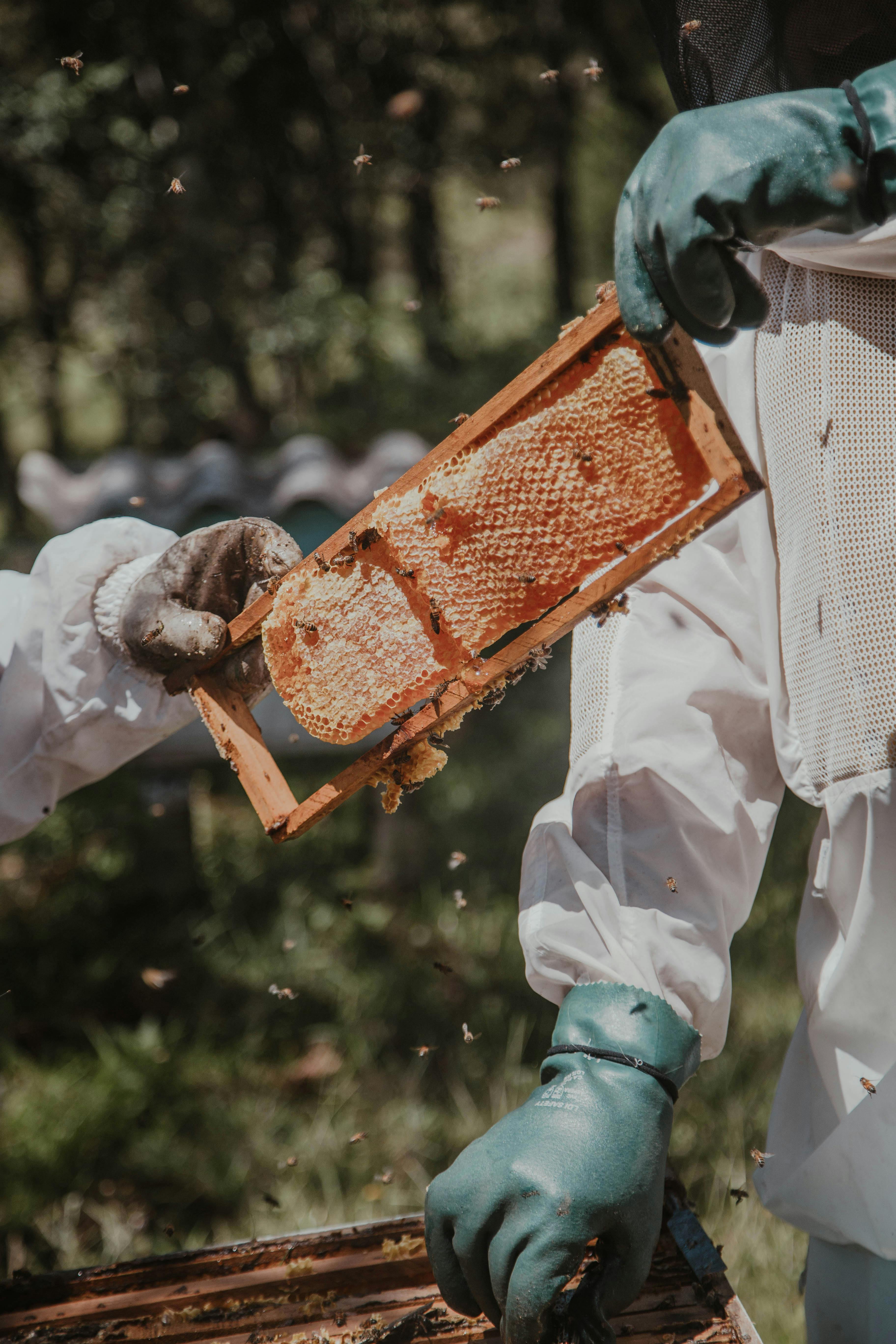 Honey extraction