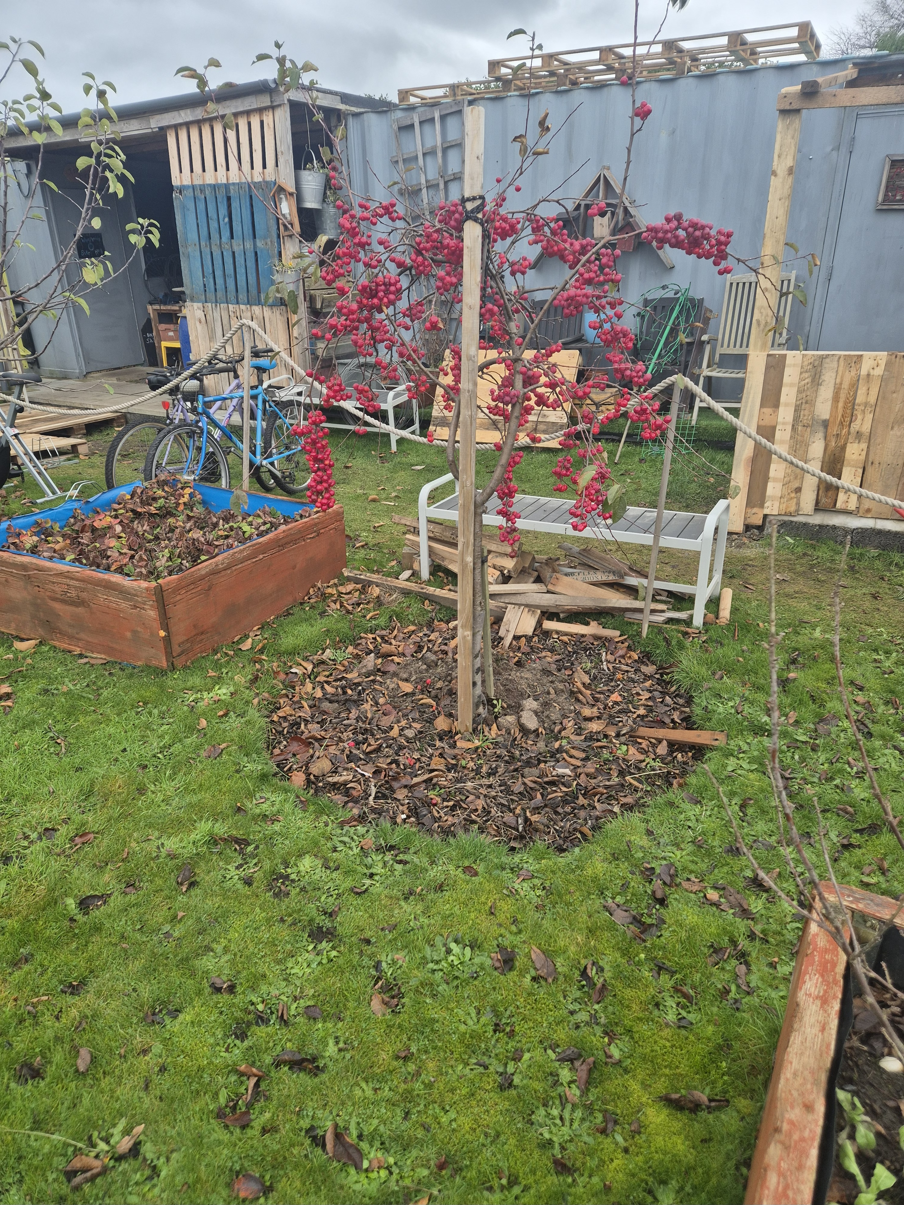 Garden with water fountain